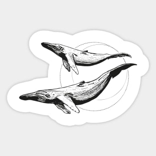 Whales Sticker